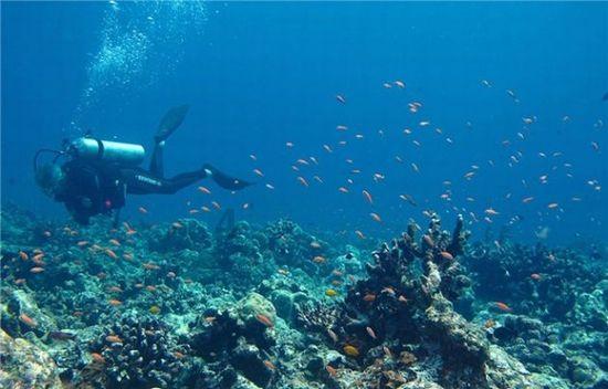 建水博浩生物科技有限公司资产处置公告
