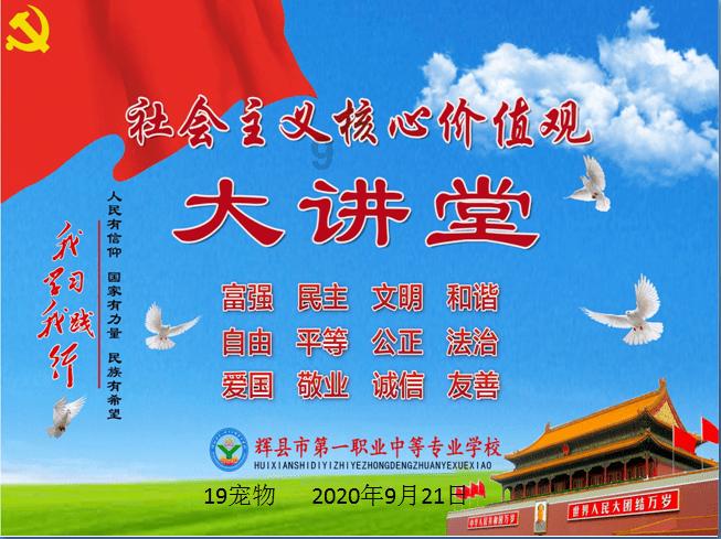 深中华A独立寒秋